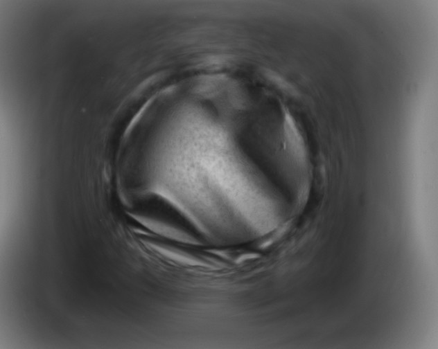 X0000085291206200703301930