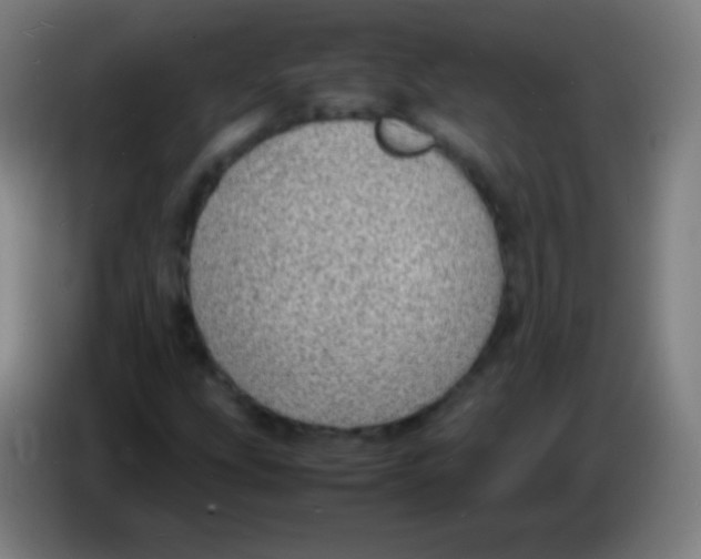 X0000085291207200703301930