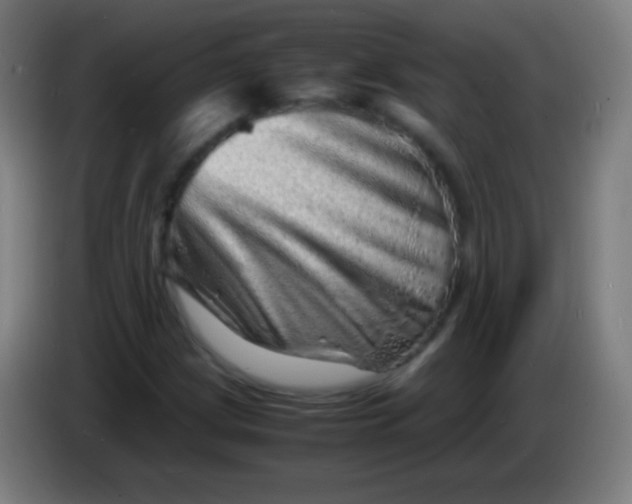 X0000085291209200703301930