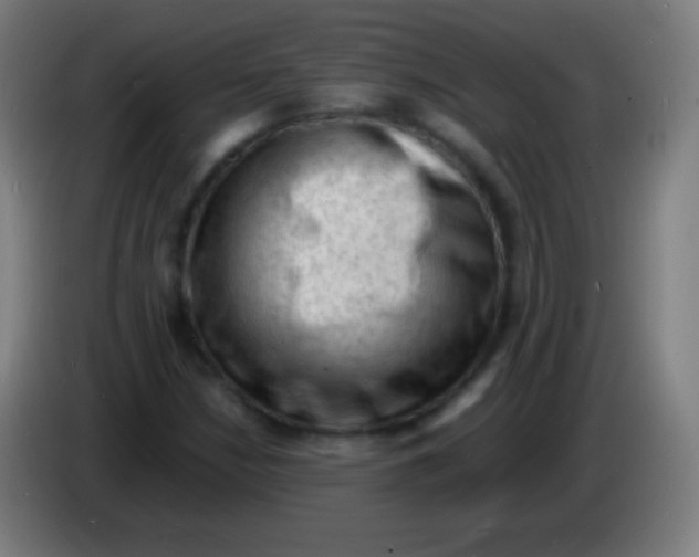 X0000085291210200703301930