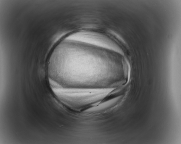 X0000085291212200703301930