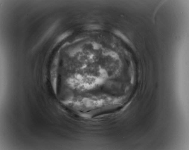 X0000085291213200703301930