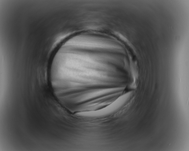 X0000085291214200703301930
