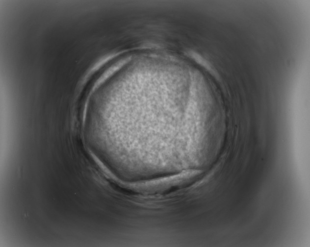X0000085291215200703301930