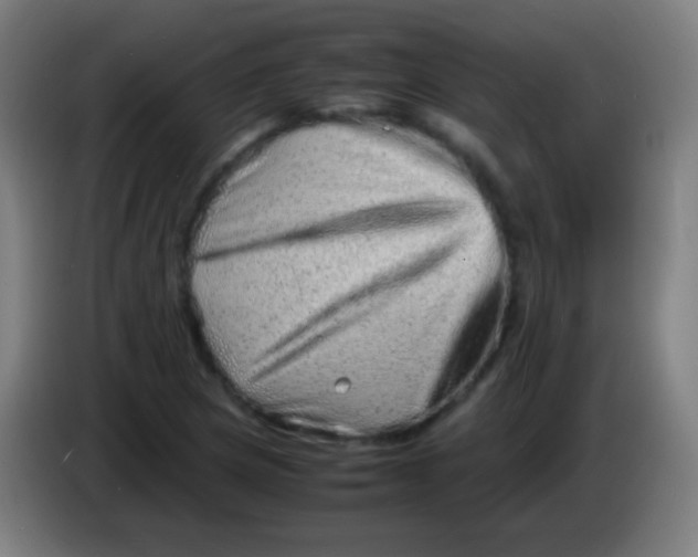X0000085291217200703301930