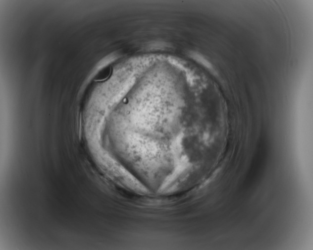X0000085291219200703301930