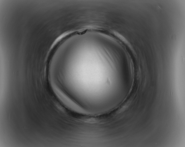 X0000085291222200703301930