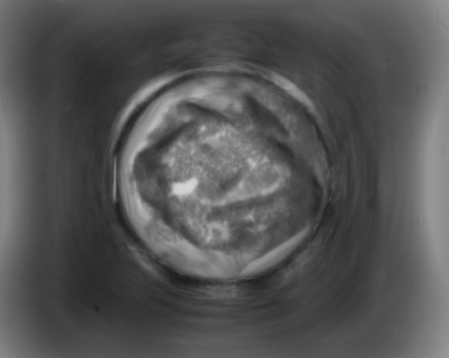 X0000085291223200703301930