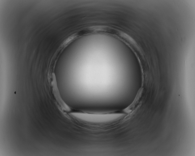 X0000085291225200703301931