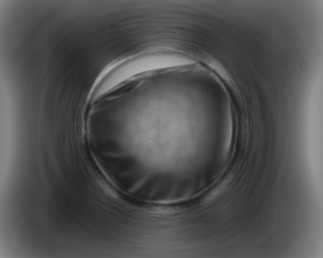 X0000085291226200703301931