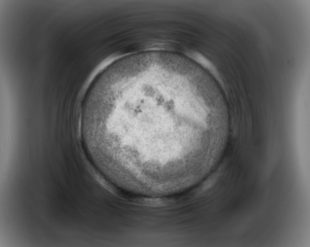 X0000085291227200703301931
