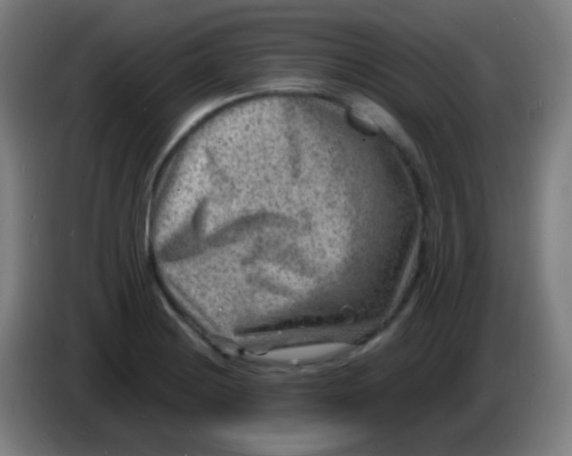 X0000085291228200703301931