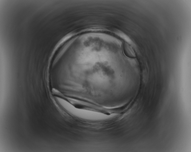 X0000085291229200703301931