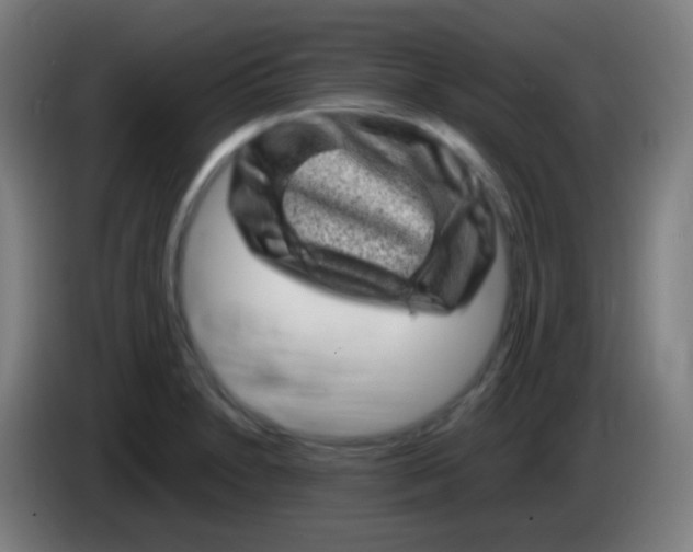 X0000085291230200703301931