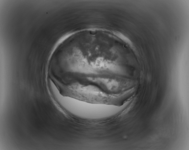 X0000085291231200703301931