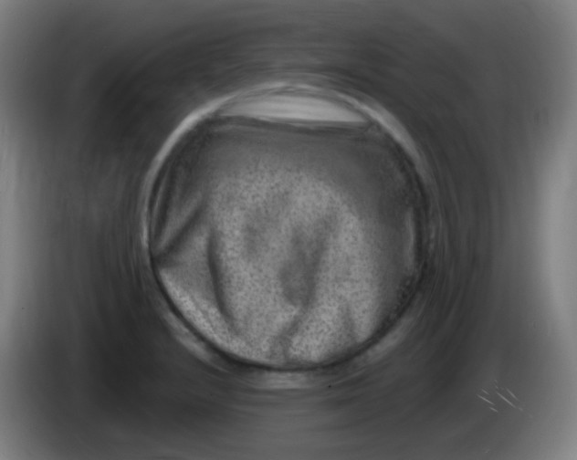 X0000085291232200703301931
