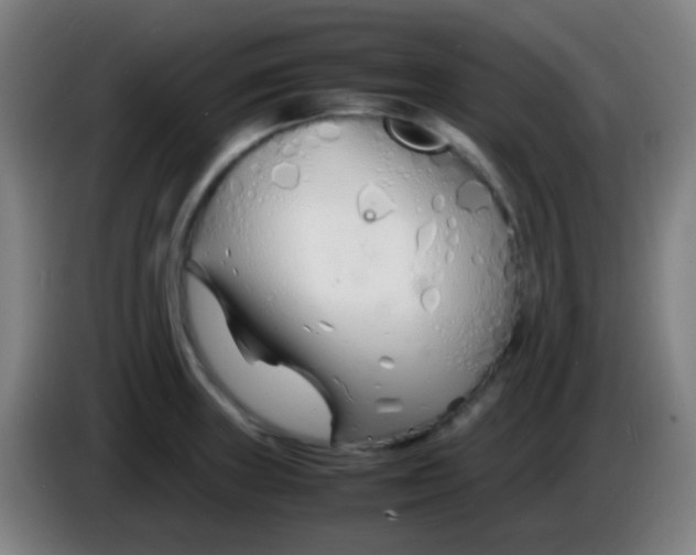 X0000085291235200703301931