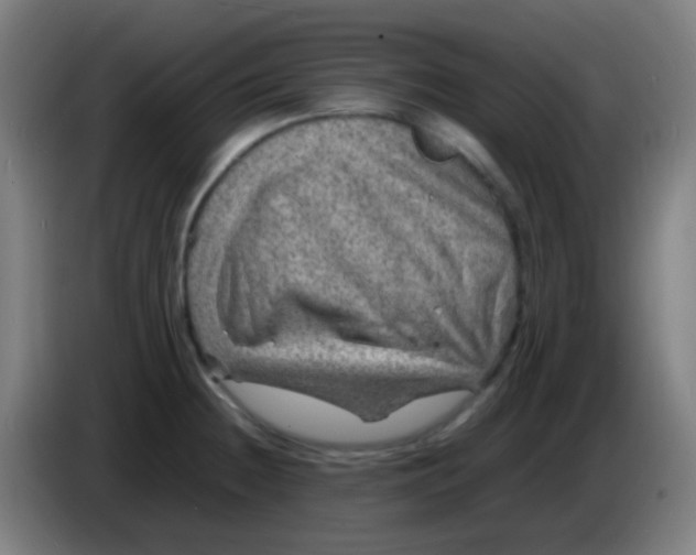 X0000085291236200703301931