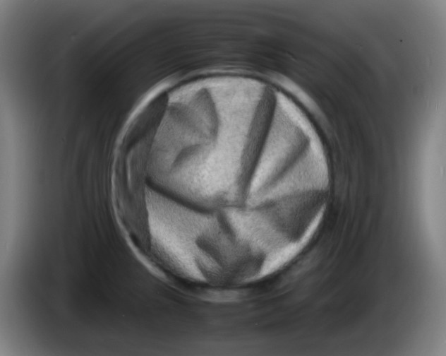 X0000085291237200703301931
