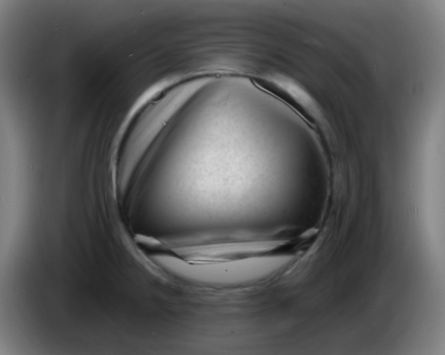 X0000085291238200703301931