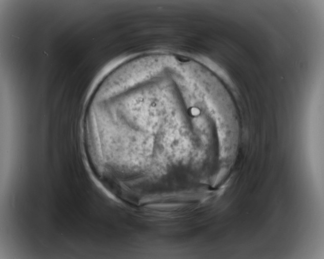 X0000085291239200703301931