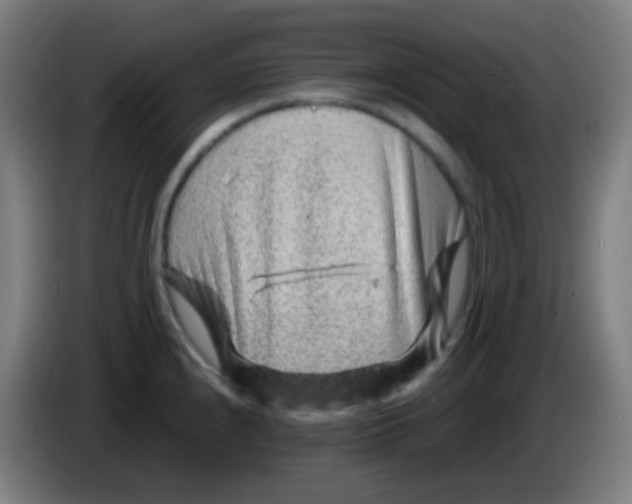 X0000085291240200703301931