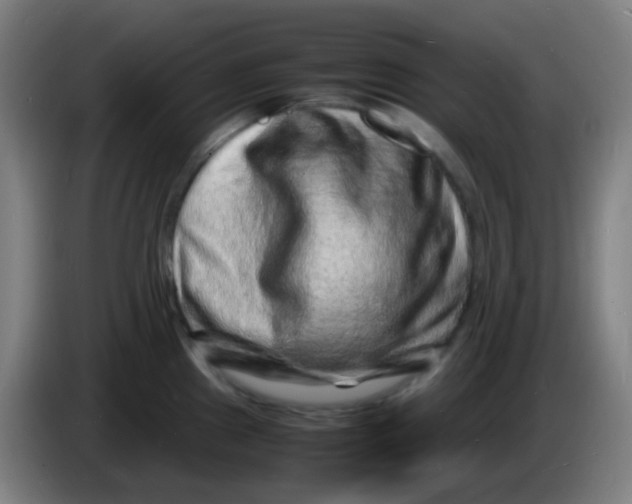 X0000085291241200703301931