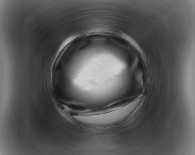 X0000085291242200703301931