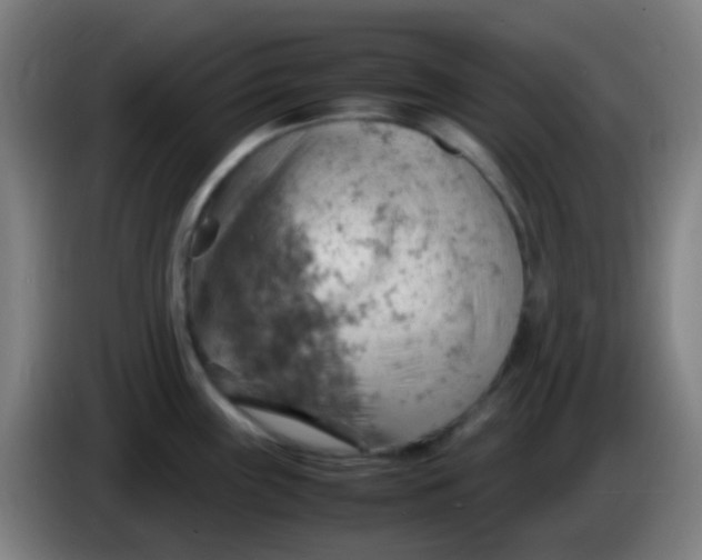 X0000085291243200703301931