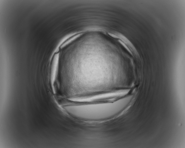 X0000085291244200703301931