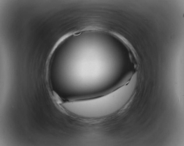 X0000085291246200703301931