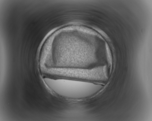X0000085291248200703301931