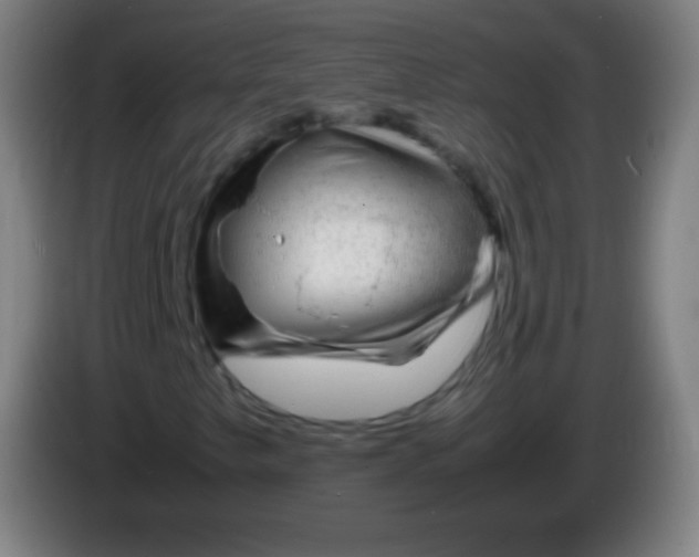 X0000085291249200703301930