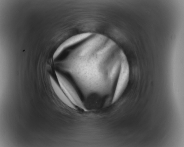 X0000085291250200703301930