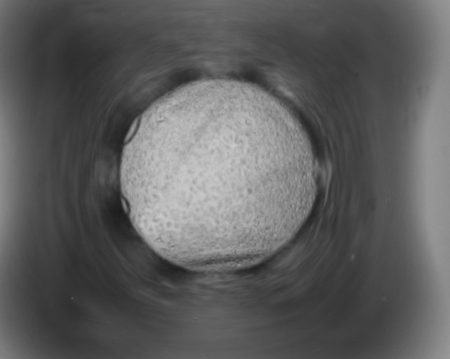 X0000085291251200703301930