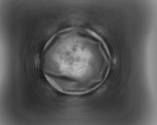 X0000085291252200703301930