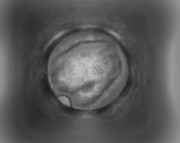 X0000085291255200703301930