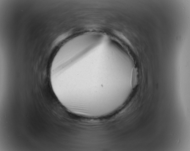 X0000085291261200703301930
