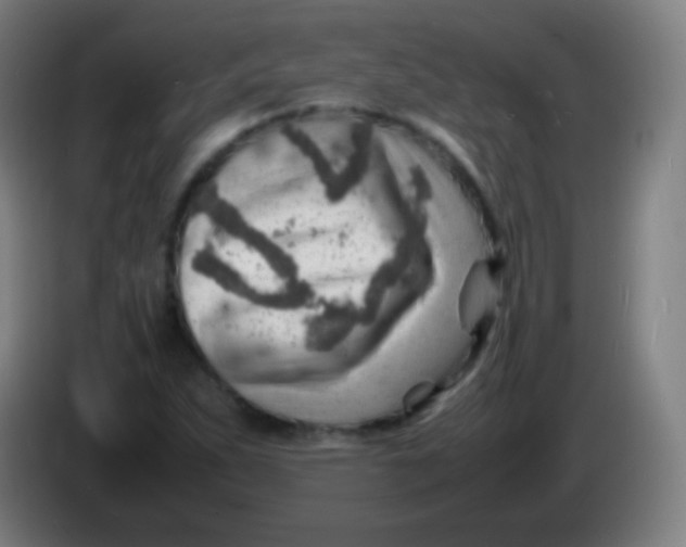 X0000085291263200703301930