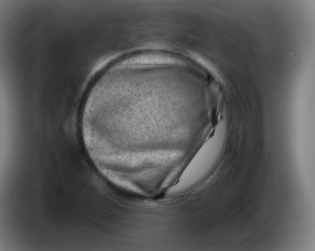 X0000085291264200703301930