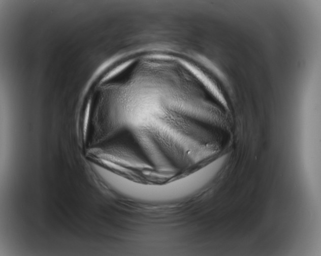 X0000085291272200703301930
