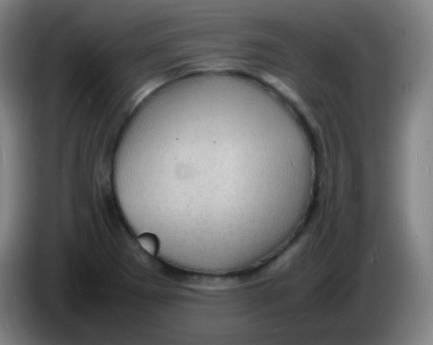 X0000085291273200703301930