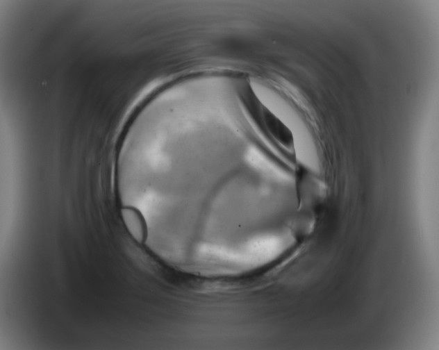 X0000085291275200703301930