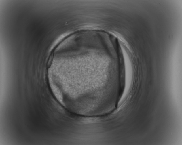 X0000085291277200703301930