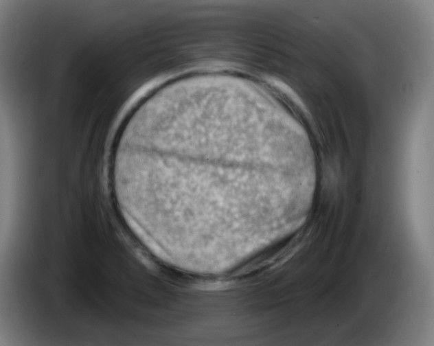 X0000085291278200703301930