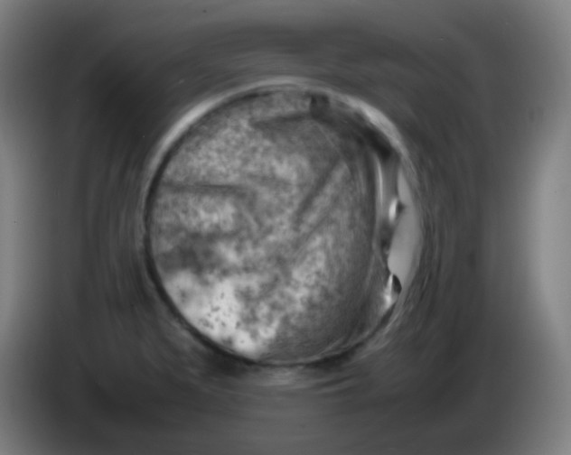 X0000085291279200703301930
