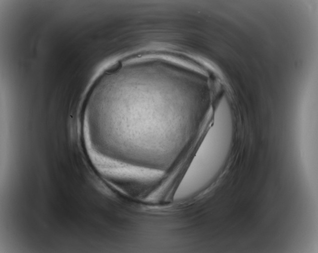 X0000085291280200703301930