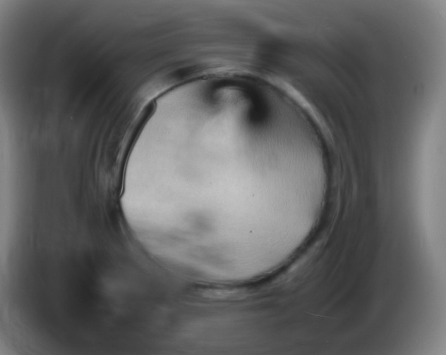 X0000085291281200703301930