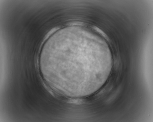 X0000085291282200703301930