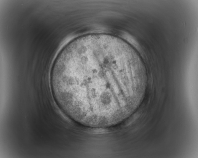 X0000085291283200703301930